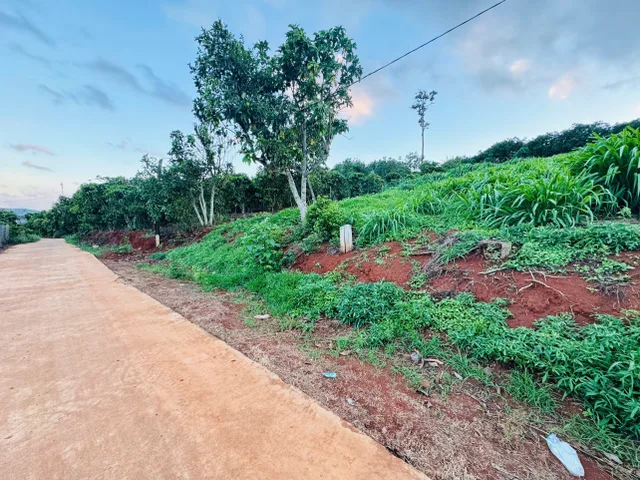 Bán 3 lô liền kề thị trấn Nam Ban, thổ cư, Ven Đà Lạt, ☎️ LH Zalo 0938.609.098 Phước Trọng