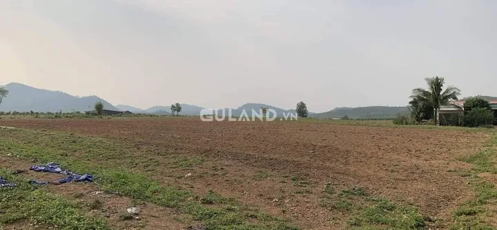 1000 thổ cư