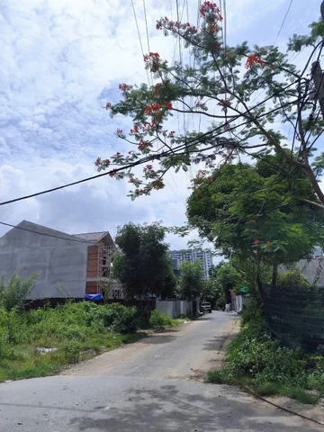 Bán gấp đất Gò Cát Phú Hữu Q9 cũ dt đất 156.9m² full thổ cư ngang 9.2m giá 8 tỷ