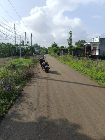 Mặt tiền đường nhựa dài, phủ hồng toàn bộ