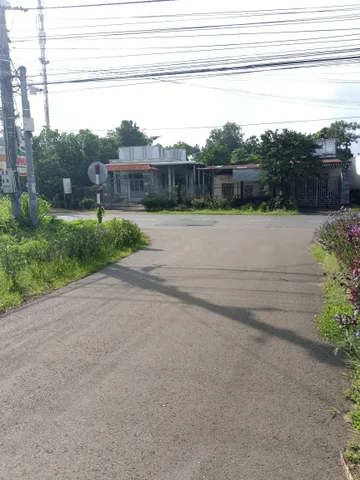 Mặt tiền đường nhựa dài, phủ hồng toàn bộ