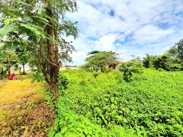 Khu ốc đảo giữa dòng sông Hậu trung tâm Quận Bình Thủy Tp.Cần Thơ có sổ riêng