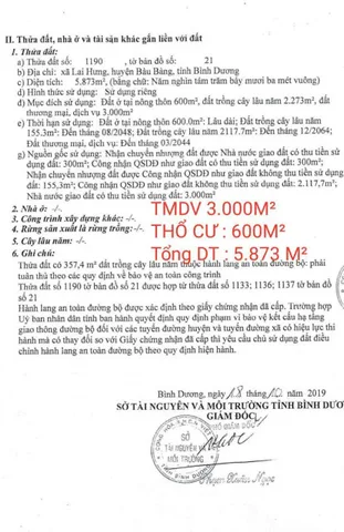 Bán đất 5873m² ngang 89m giá 21 tỷ Phường Bến Cát