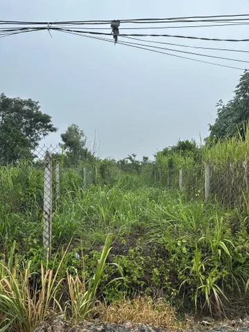 Bán 238m2 đất ODT mặt tiền Út An, Khu vực 4, thị trấn Đức Hoà, Long An, giá đầu tư
