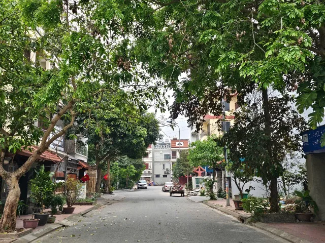 Bán 131m2 đất kđt đại dương. Làn 2 đường nguyễn quyền. Võ cường bắc ninh