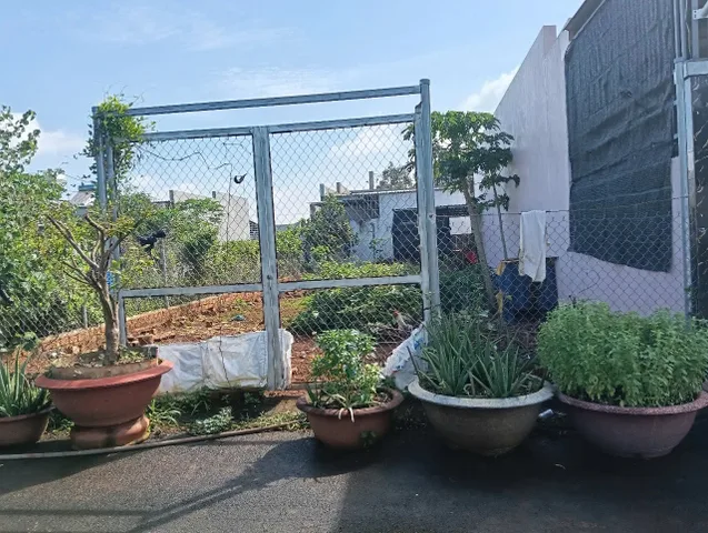 Bán đất 131.8m² ngang 7m giá 1.66 tỷ Phường Tam Long