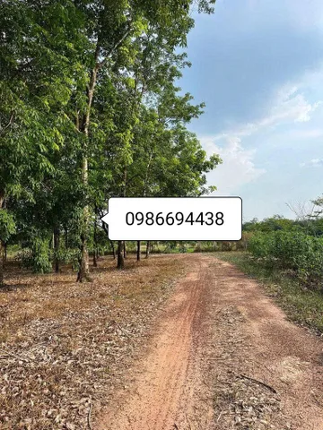 Bán đất 40000.4m² ngang 200m giá 28.91 tỷ Xã Minh Thạnh