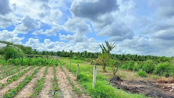 Bán đất 2186.5m² ngang 11m giá 2.8 tỷ Xã Phước Hải