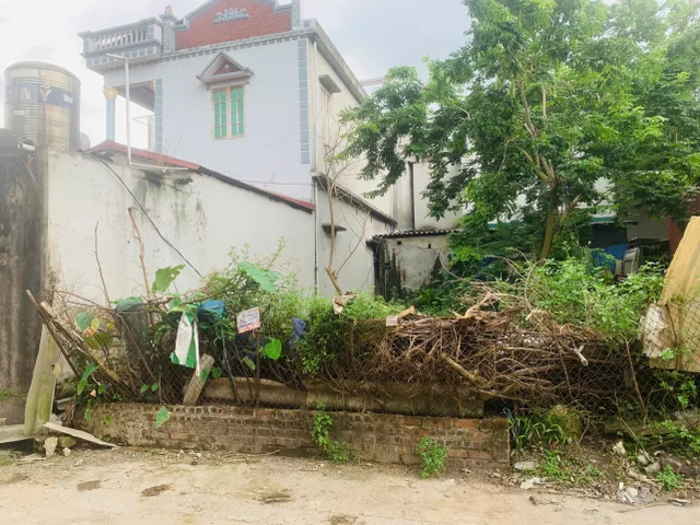 📣Cần bán 56m2  Đường Nhạn -  Thư Lâm ( Xuân Nộn cũ) -  Hà Nội