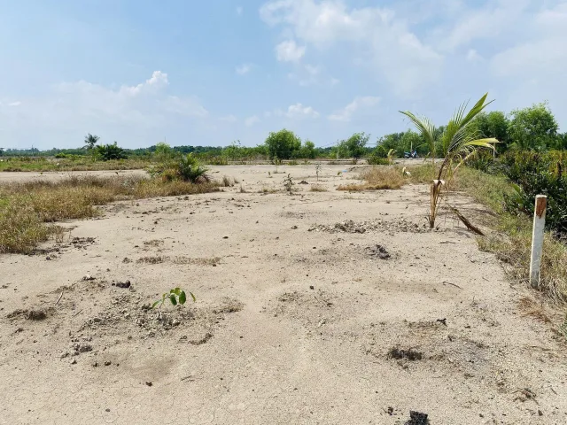 Bán đất lang, Nguyễn Văn Tạo, 2100m² ngang 38m, giá 2.5 tỷ, Xã Hiệp Phước