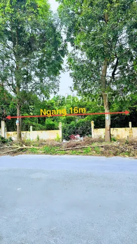 👉10 tỷ - BÁN NỀN BIỆT THỰ 400m2 MẶT TIỀN ĐƯỜNG SỐ 11, KDC PHÚ AN (Khu 586)