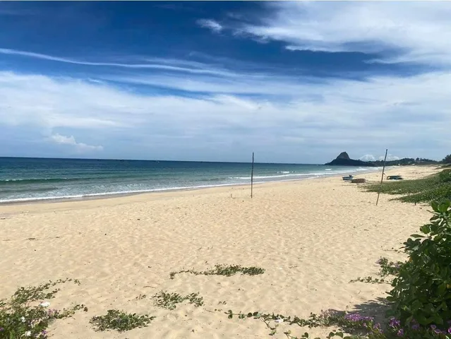 Đất biển bãi choi