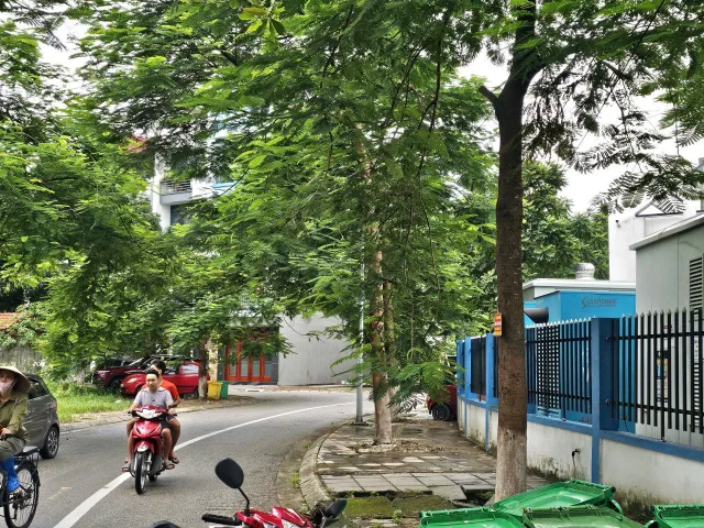 Bán đất biệt thự mặt đường ngô quyền khu y na kinh bắc. Diện tích 256m mặt tiền 9m hướng tây bắc. Phường kinh bắc tỉnh bắc ninh