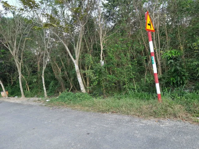 Ban dat cu chi