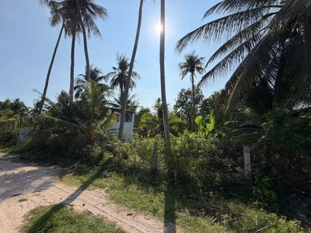 Bán Đất 3450m2 tại Xã Thiện Nghiệp Thành phố Phan Thiết Bình Thuận