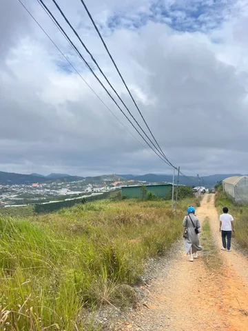 Bán 6 sào view đẹp đạ Sar Lạc dương