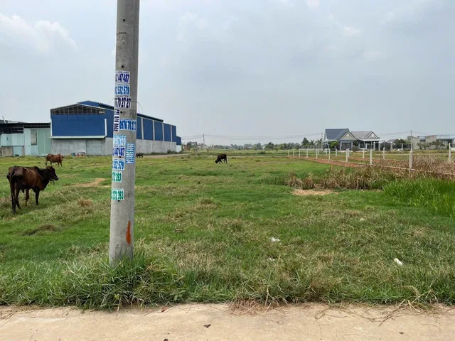 Bán đất 270.2m² ngang 5m giá 1.9 tỷ Xã Mỹ Hạnh
