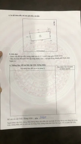 Đất đẹp x1 nghi kim