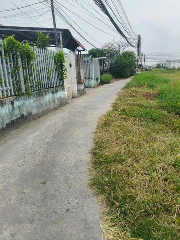 Bán đất 102m2 (4x25,5m), cách QL50 100m, Tân Kim, Cần Giuộc, Long An