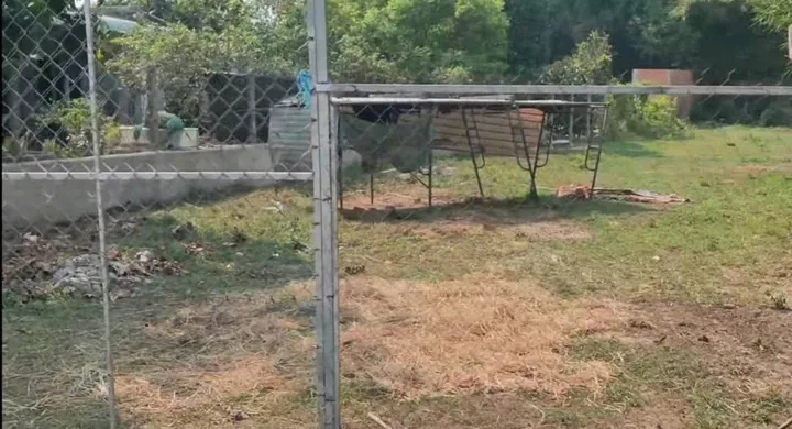 Đất thổ cư xã Trung Lập Thượng Củ Chi TPHCM, DT: 12x62m.