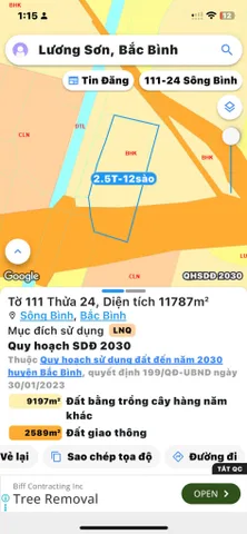 Bán đất 11787m² giá 2.5 tỷ Xã Lương Sơn