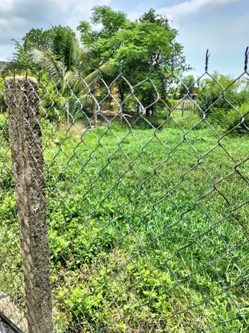 0763615365 Bán đất thổ cư Ninh Hiệp 328m2