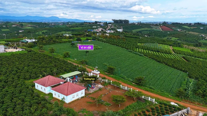 Bán đất 1000m² giá 890 triệu Xã Phúc Thọ Lâm Hà