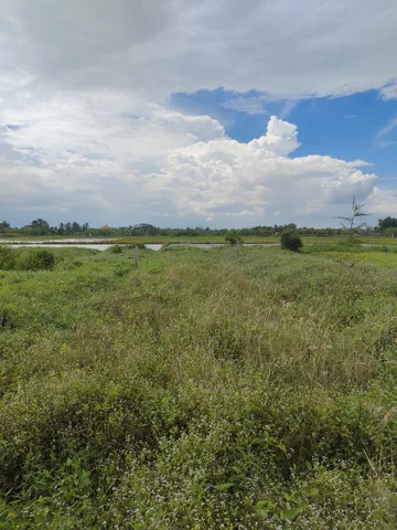Cần bán lô đất 175m2 full thổ cư, cách liên xã Long Hoà - Phước Vân 100m, Cần Đước, Long An, giá đầu tư