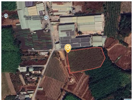 Bán đất 8789m² ngang 79m giá 33 tỷ Phường Vĩnh Tân có quy hoạch Skc có điện 3 pha, đường xe công