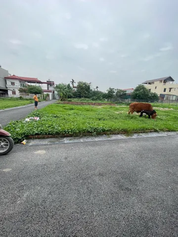 Bán 100m2 đất Đình Trung đường ô tô tránh nhau giá chỉ 5,x tỷ