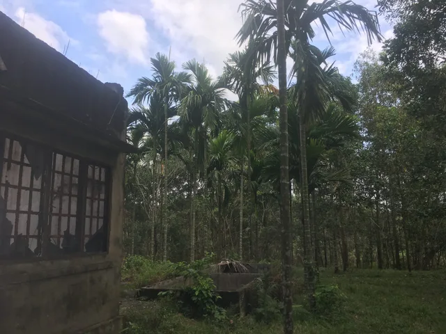 Bán đất làm trang trại du lịch, nhà vườn, farmstay tại Đà Nẵng