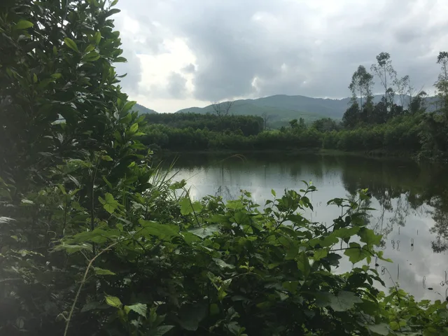 Bán đất làm trang trại du lịch, nhà vườn, farmstay tại Đà Nẵng