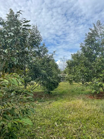 Bán đất 2811.3m² ngang 26m giá 3.9 tỷ Phường Tân An