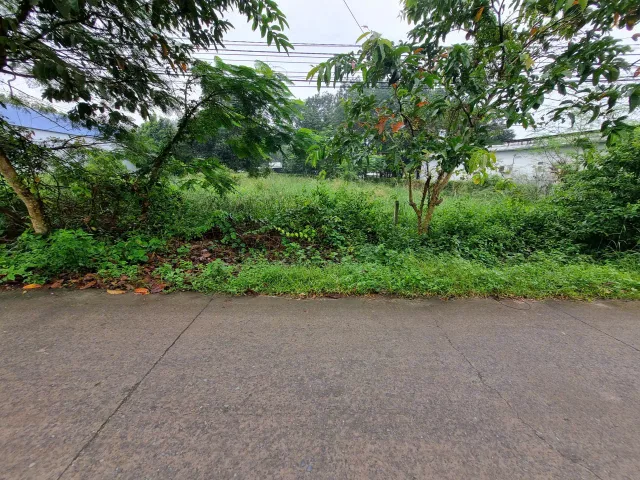 (S755) Đất xã Phú Hòa Đông, dt 140m2, đất ở hiện hữu, giá 1 tỷ 750