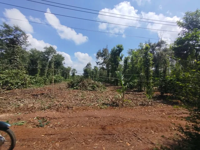 Bán đất 200m² giá 425 triệu Xã Ea Ktur
