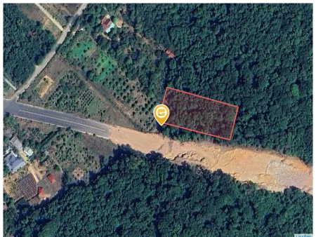 Bán đất 25000m² ngang 110m giá 15 tỷ Đặc khu Phú Quốc