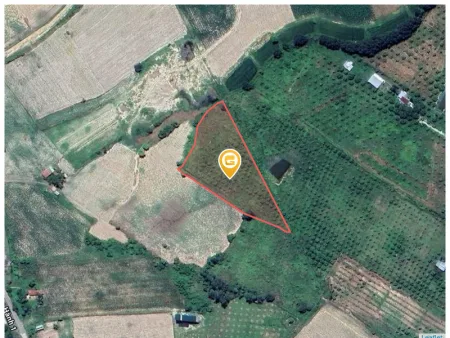Bán đất 6297.4m² giá 1.8 tỷ Xã Tây Ninh Hòa