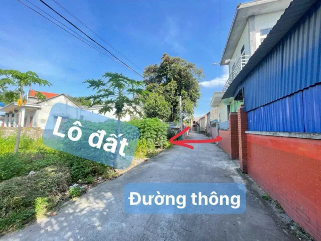 25/10/2025.Bán đất 61,5m² ngang 4,8m giá 850 triệu Phường Bạch Đằng( Minh Tân) liên hệ 0362558882