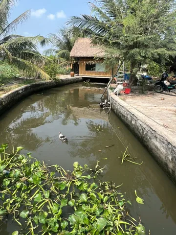 Bán Nhà Vườn Mặt Tiền Kênh Đá Hàn, Bình Mỹ, Củ Chi. 12.2x53m, nở hậu 22m, 1192m², View kênh lớn mát mẻ quanh năm