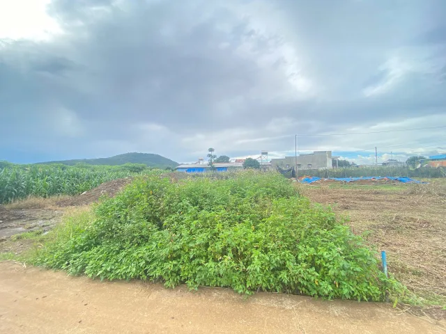 Đất Gần sân bay Liên Khương 1ty150. Thổ cư