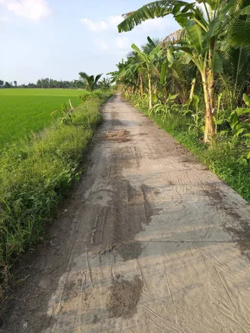 BÁN GẤP ĐẤT RUỘNG PHI THÔNG_RẠCH GIÁ_KIÊN GIANG