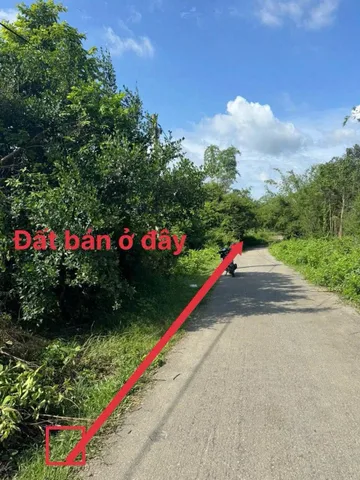 Đất thổ cư mặt tiền nhựa xã Thái Mỹ Củ Chi TPHCM, DT: 10x51m.
