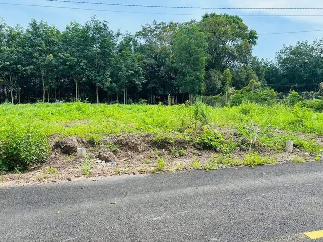 Bán một cặp liền kề tổng 600m2 (10x60m) có 200m2 thổ cư, kế chợ An Thái giá nét 920tr