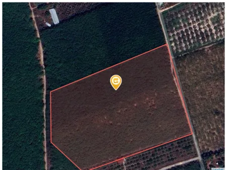 Bán đất 19823m² giá 10 tỷ Xã Trừ Văn Thố