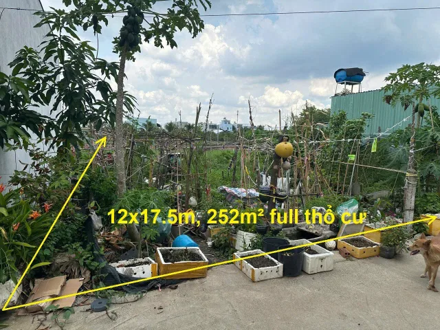 (Đã Bán)Bán đất xã Bình Mỹ Củ Chi, đường Bình Mỹ vào 300m, 252m² full thổ cư, khu dân cư hiện hữu giá rẻ chỉ 2.5 tỷ