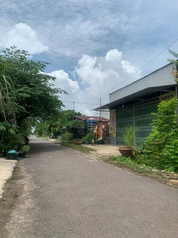 4 LÔ CẦN BÁN GẤP 20X50=1000M2 TC SHR NGAY CHỢ ĐƯỜNG 18M GIÁ 290TR/s