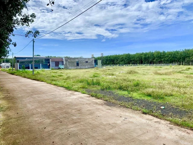 4 LÔ CẦN BÁN GẤP 20X50=1000M2 TC SHR NGAY CHỢ ĐƯỜNG 18M GIÁ 290TR/s