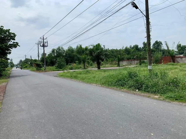 4 LÔ CẦN BÁN GẤP 20X50=1000M2 TC SHR NGAY CHỢ ĐƯỜNG 18M GIÁ 290TR/s