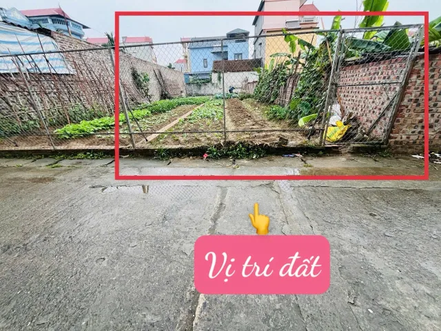 Bán 52m2 đất đường thông ô tô tại Mạnh Tân Đông Anh cũ khổ đất vuông đẹp