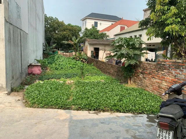 BẤN ĐẤT THỊ TRẤN LAI CÁCH CẨM GIÀNG HẢI DƯƠNG